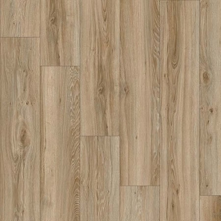 Blackjack Oak 22229