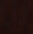 Вяз Elm Red