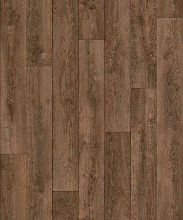 CARPATIAN OAK 4 (2,5)