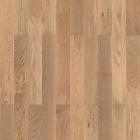 OAK SUNDOWNER BR MDBMDB O