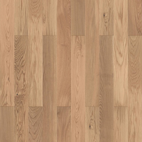 OAK SUNDOWNER BR MDBMDB O