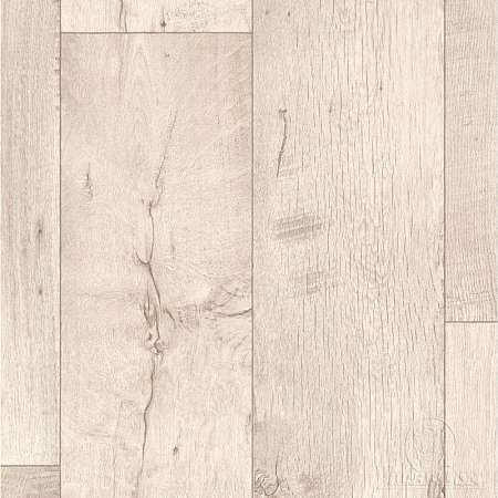 Forest 6_016L (3,5)