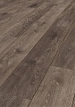 Дуб Эрсен K233