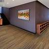 Дуб Медовый 73043