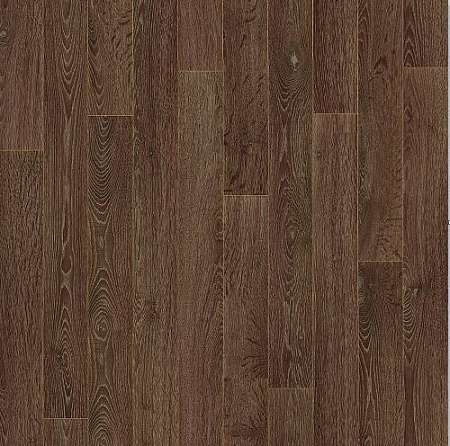 GOLD OAK 9 (2,5)