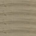 Summer Oak 24933