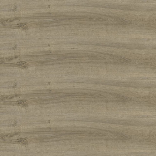 Summer Oak 24933