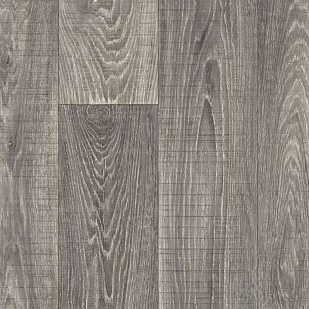 Winter Oak 899 (3,5)