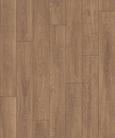 CARPATIAN OAK 5 (3)