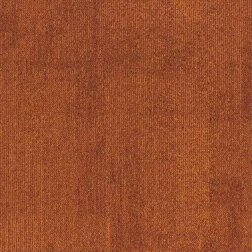Teak 273
