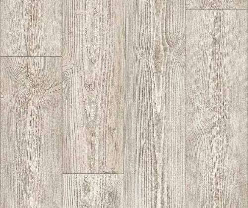 AUSTRALIAN PINE 1 (2,5)