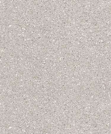 ARES 2 (3)
