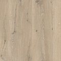 62001214 B4105 GYANT LIGHT NATURAL