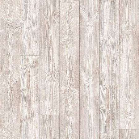 AUSTRALIAN PINE 5 (3,5)