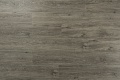 Oak 038