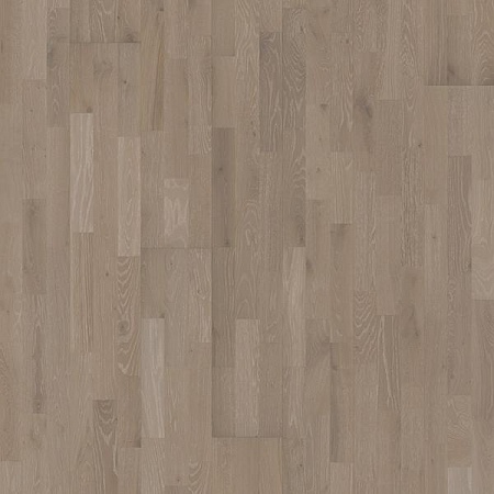 Дуб Dacite Grey 3s