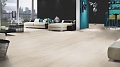 4278 Дуб Корона