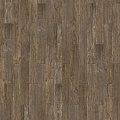 Renoir S 504450005