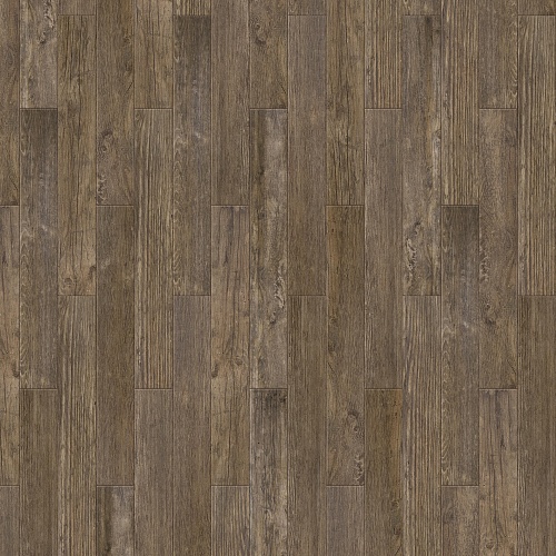 Renoir S 504450005