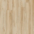 Blackjack Oak 22220