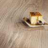 Дуб Cheese Cake