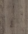 Дуб 107066