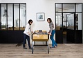 Дуб весенний 04491