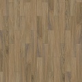 Rubens S 504450002