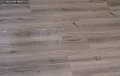 Дуб Бардю 70333