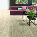 Chester Oak 24229