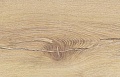 Старая Вена D1813