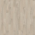 Botticelli S 504450000