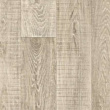 Winter Oak 855 (3,5)