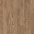 OAK TRAMONTANO BR MDB CL