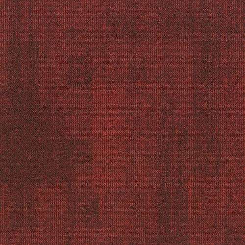 Teak 363