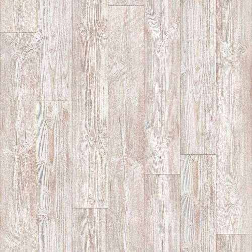 AUSTRALIAN PINE 5 (3)