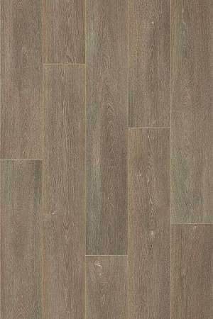 COLUMBIAN OAK 10 (3)