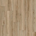 Blackjack Oak 22229