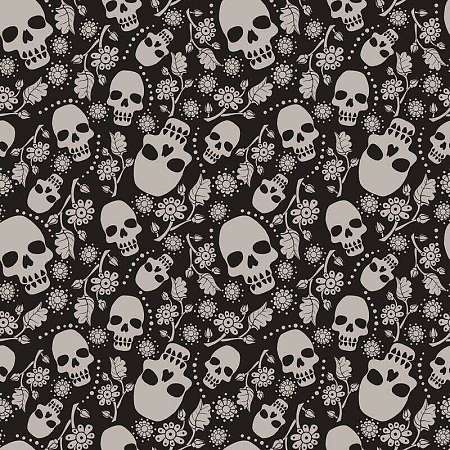 YORICK 2 (3,5)