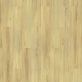 Бонифацио 504022076