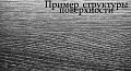 Дуб Атлантический D 3788