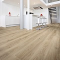 Blackjack Oak 22246