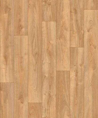 CARPATIAN OAK 3 (2)