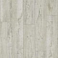 Latin Pine 24142