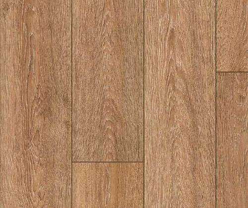 INDIAN OAK 3 (4)