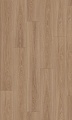 1240 Riviera Oak