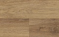 Дуб Дворцовый D1805