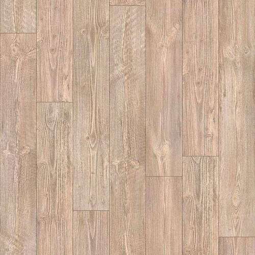 AUSTRALIAN PINE 6 (3,5)