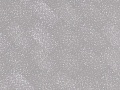 NOX-1668 Фицрой