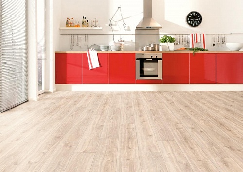 Дуб 107049